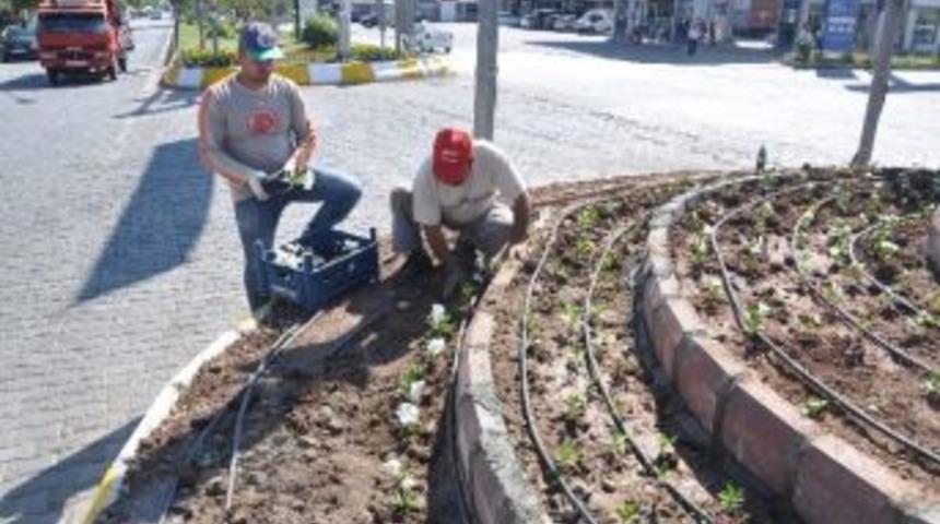 G&ouml;lbaşı Belediyesi Ref&uuml;j Ve Parklara 100 Bin Adet &Ccedil;i&ccedil;ek Dikti