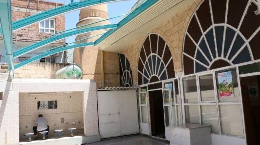 Camilere Yeni D&uuml;zenleme Haliliye Belediyesi&rsquo;nden