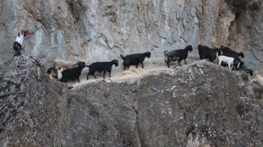 Kayalıklarda 3 G&uuml;n Mahsur Kalan 15 Ke&ccedil;i, 10 Saatte Kurtarıldı