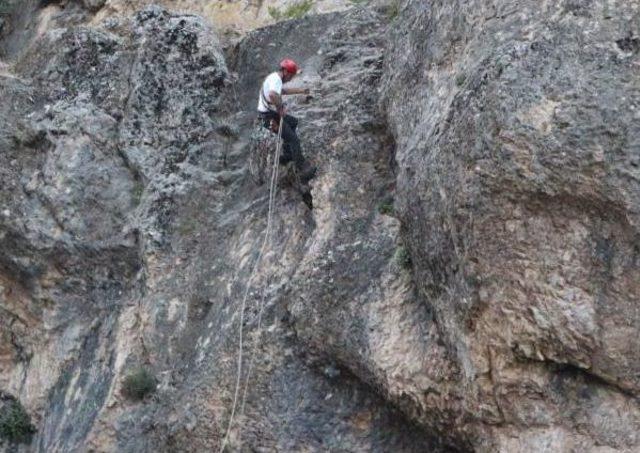 Kayalıklarda 3 Gün Mahsur Kalan 15 Keçi, 10 Saatte Kurtarıldı