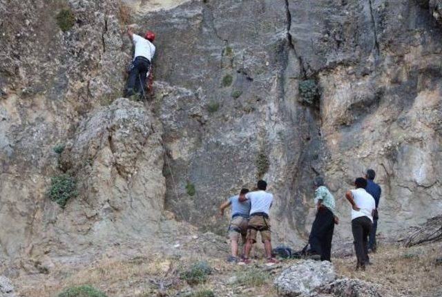 Kayalıklarda 3 Gün Mahsur Kalan 15 Keçi, 10 Saatte Kurtarıldı