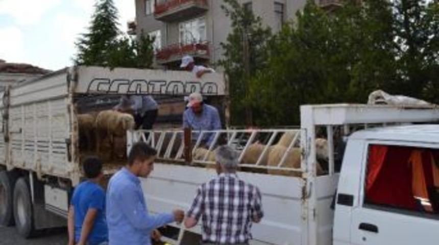 Kulu&rsquo;da Hibe Destekli 47 Ko&ccedil; Dağıtıldı