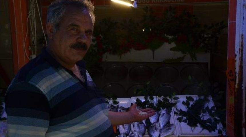 Bu Taş B&ouml;brek Taşını D&uuml;ş&uuml;r&uuml;yor