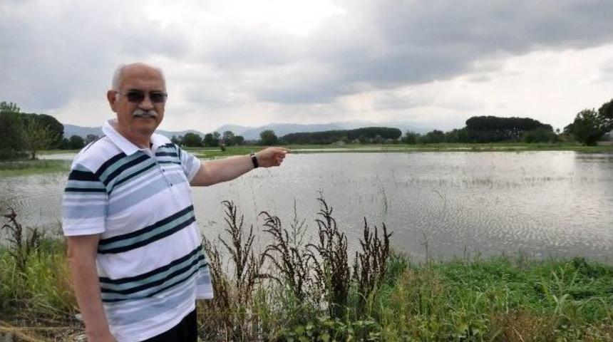 Aşırı Yağış &Ccedil;ift&ccedil;iyi 45 Milyon Tl Zarara Uğrattı