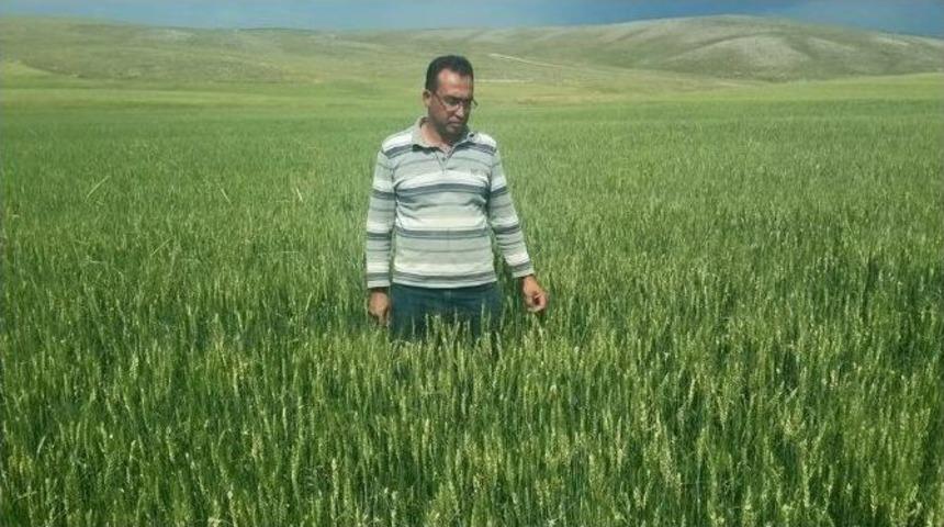 İ&ccedil; Anadolu Tarım Ambarında Net Bilan&ccedil;o A&ccedil;ığa &Ccedil;ıktı