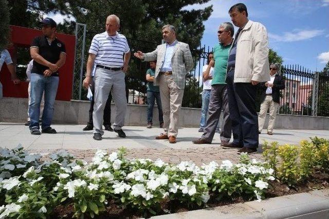 Eski Çevreyol’da Peyzaj İncelemesi