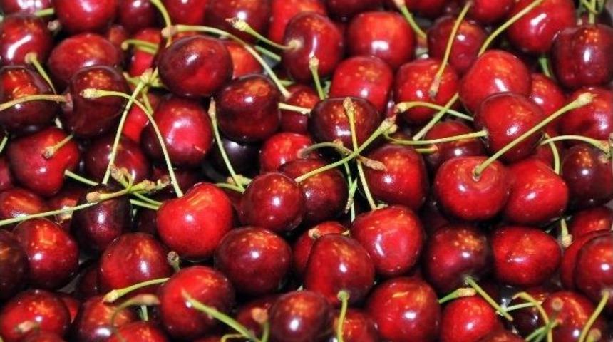 4. Akşehir Kirazı K&uuml;lt&uuml;r Ve Sanat Festivali Yapıldı