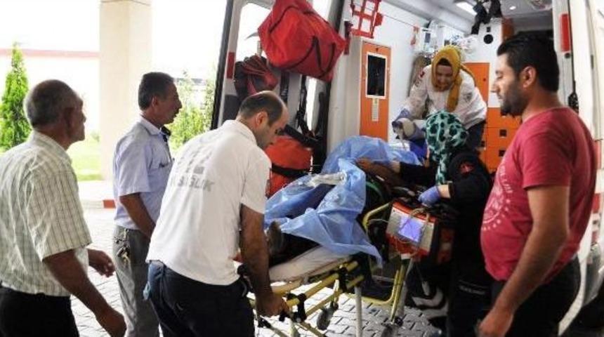 &Uuml;zerine Yıldırım D&uuml;şen Tarım Iş&ccedil;isi &Ouml;ld&uuml;