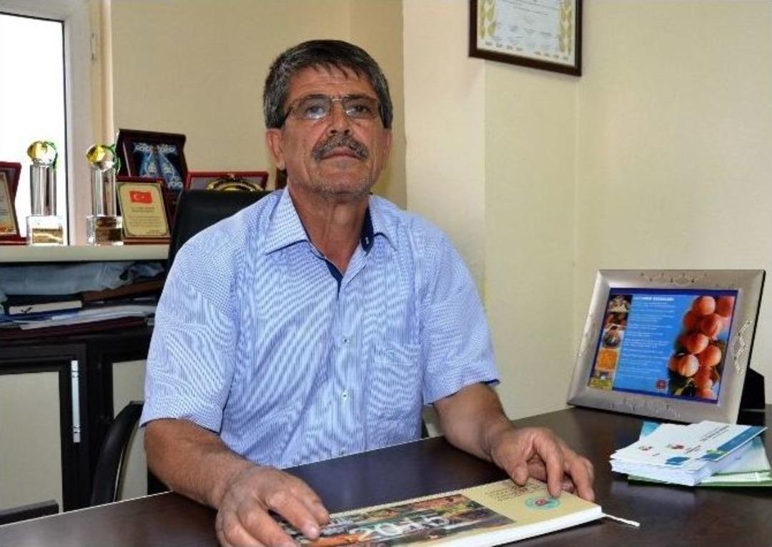 Kiraz Da Fiyatlar D&uuml;şt&uuml;, &Uuml;retici Perişan