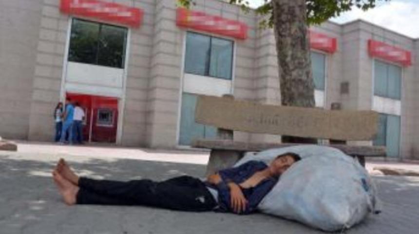 Kağıt Toplayan Gencin Siestası