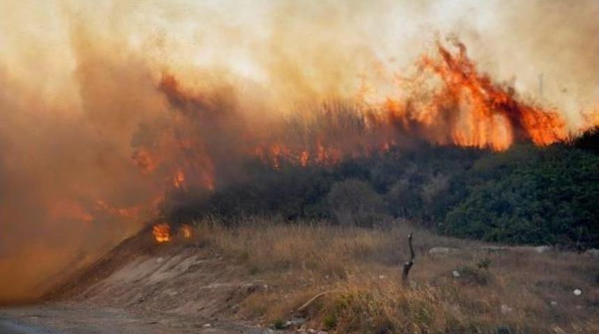 Makilik Alandaki Yangın Devlet Hastanesinin Bah&ccedil;esine Sı&ccedil;radı