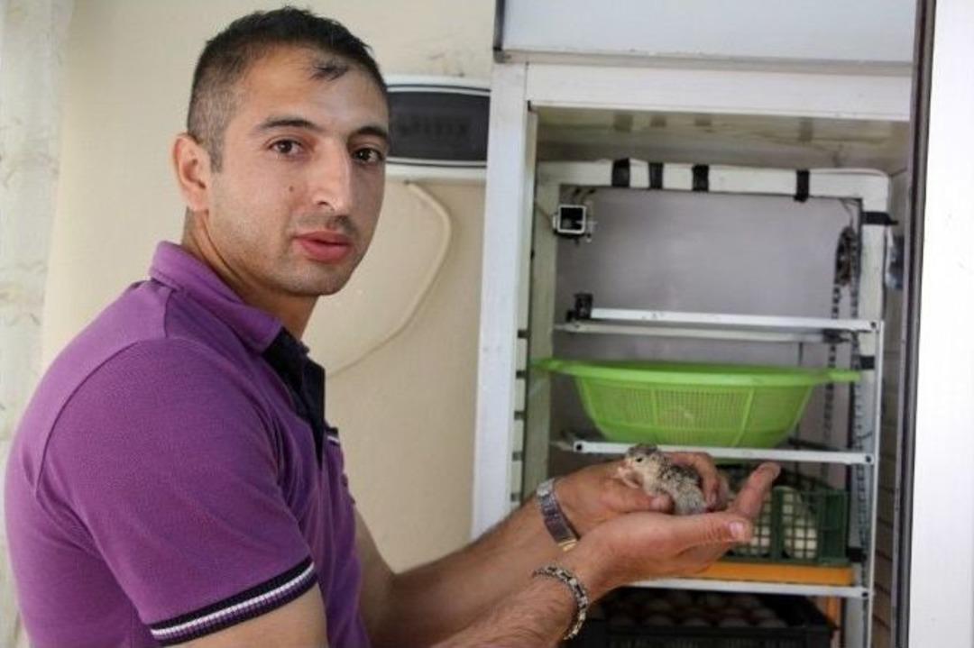 Silopili Gen&ccedil; Tam Otomatik Kulu&ccedil;ka Makinesi &Uuml;retti