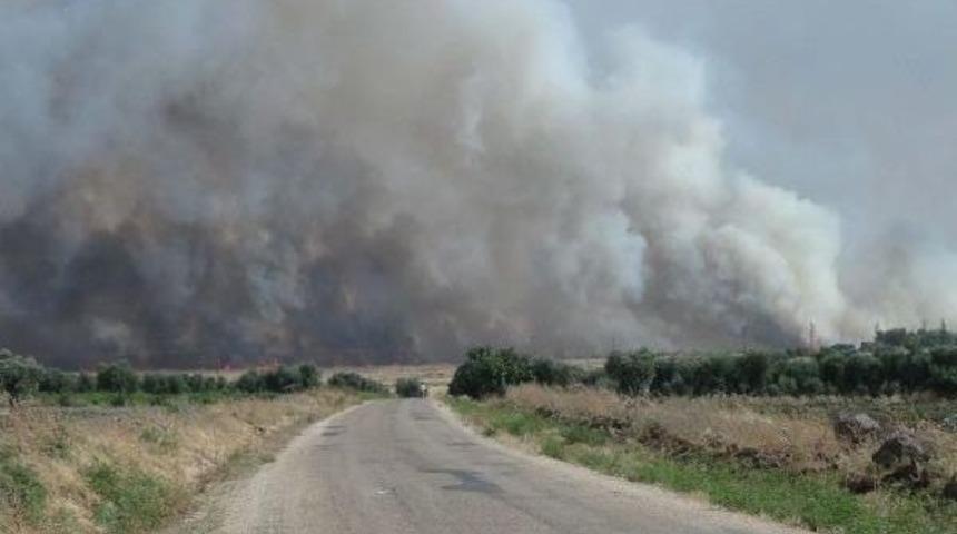 Kilis'in Suriye Sınırında Yoğun Top Atışları (2)
