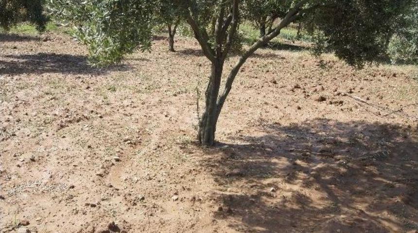 Dolu Yağışı &Ccedil;ift&ccedil;iyi Vurdu