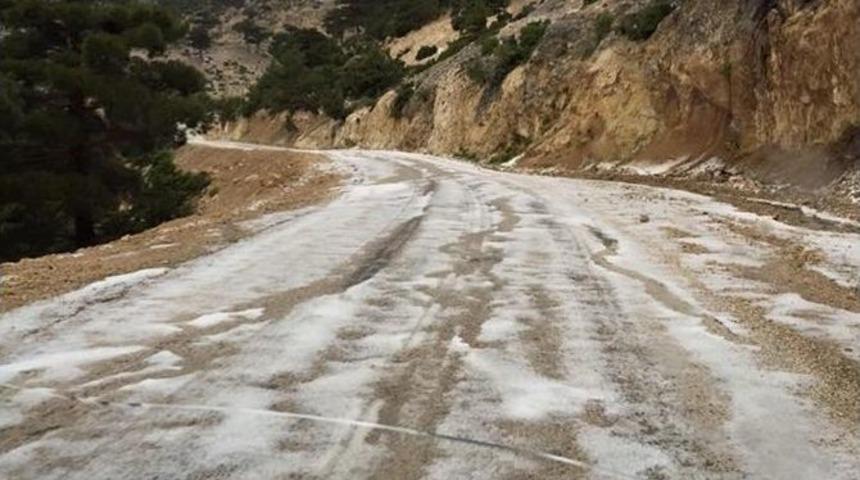 Ceviz B&uuml;y&uuml;kl&uuml;ğ&uuml;ndeki Dolu &Uuml;reticiyi Mağdur Etti