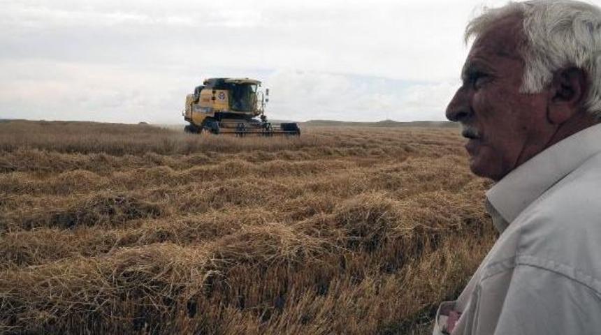 Yozgat'ta Hububat Hasadı Başladı