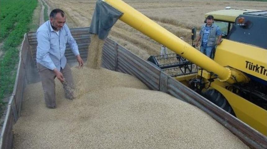 Yozgat&rsquo;ta Hububat Hasadı Başladı