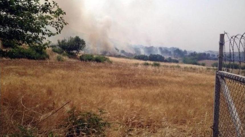 Kulp&rsquo;ta 100 D&ouml;n&uuml;ml&uuml;k Buğday Tarlası K&uuml;l Oldu