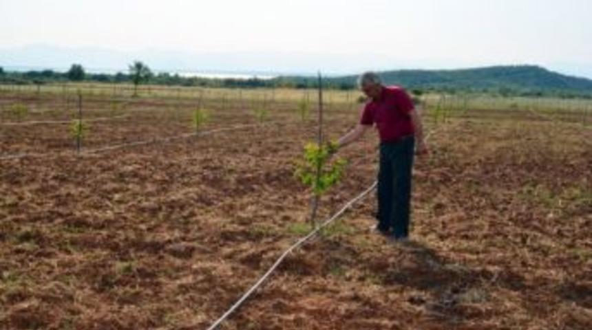 Tika&rsquo;dan Arnavutluk&rsquo;ta Malesia E Madhe M&uuml;ft&uuml;l&uuml;ğ&uuml;&rsquo;ne Destek