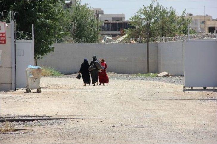 Kobani’ye Dönüşler Başladı G2