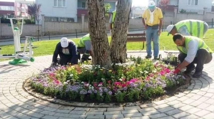 Yıldırım&rsquo;da &lsquo;yeşil&rsquo; Seferberlik