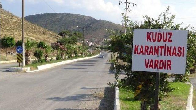 Balıkesir’de İki Mahalle Karantina Altına Alındı