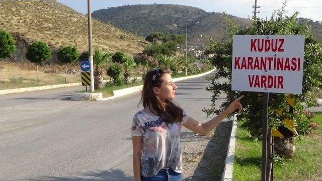 Balıkesir’de İki Mahalle Karantina Altına Alındı