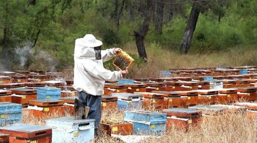 Maybir Başkanı Şahin: &ldquo;&uuml;reten Biziz, Kriteri Ab Koyuyor&rdquo;