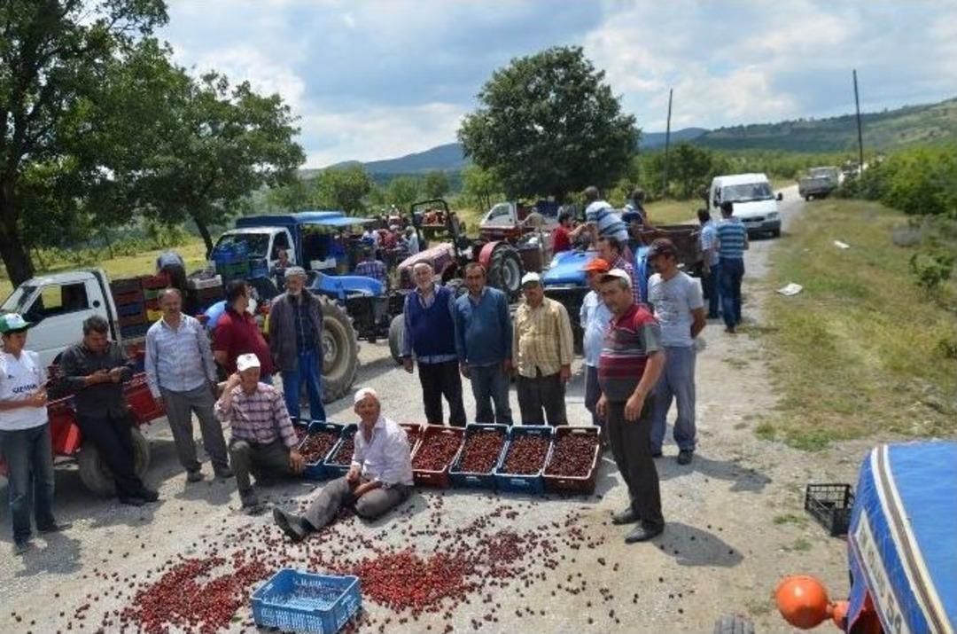 (&ouml;zel Haber) İhracat Yapamayan Kiraz &Uuml;reticileri Yol Kapattı