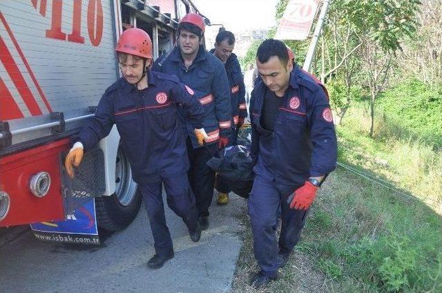 Beşiktaş’ta Otomobil Şarampole Yuvarlandı: 1 Ölü, 2 Yaralı