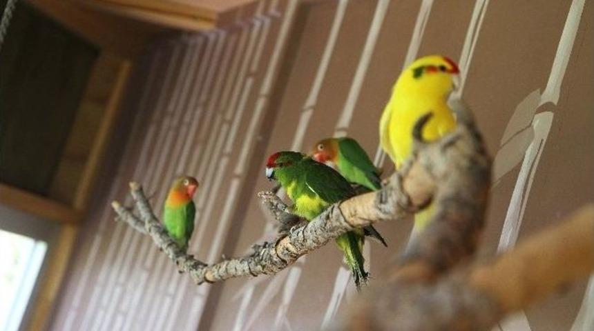 Tay Park Ailesi B&uuml;y&uuml;yor