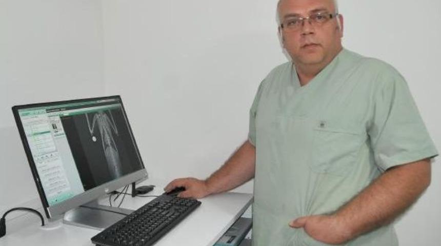 Kediyi Havalı T&uuml;fekle Vurdular