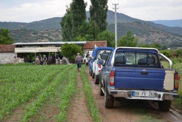 Elektrik Kablosu Ahır Çatısına Değdi, 6 Inek Telef Oldu