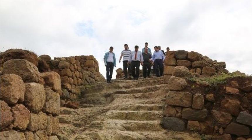 Validen Define Tepkisi