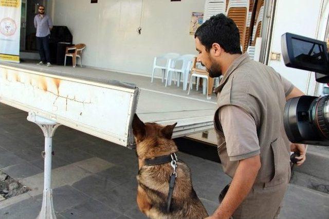 Diyarbakır Polisi Uyuşturucuya Dikkat Çekmek İçin Stant Açtı