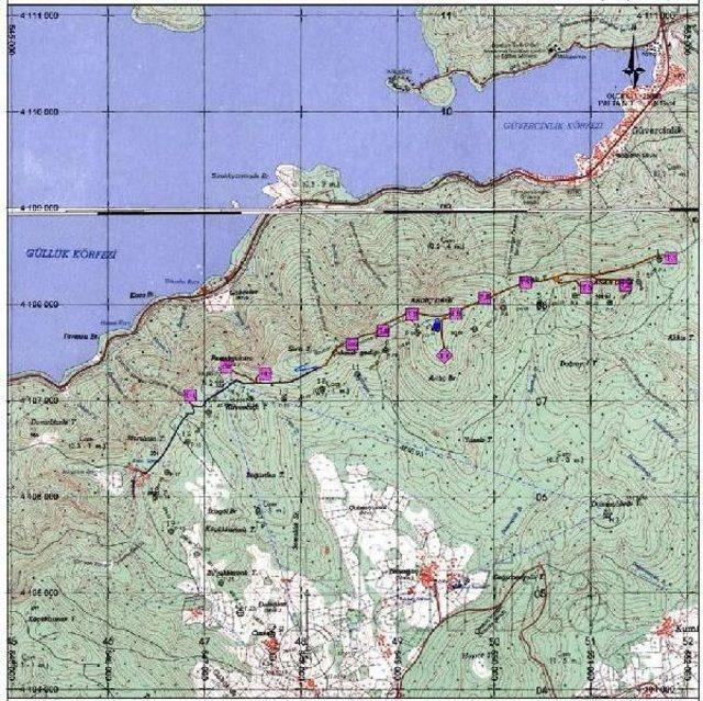Bodrum da Yeni Res Tepkisi 1