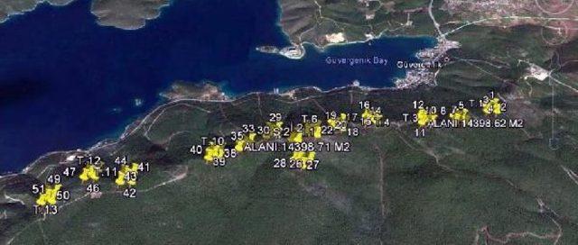 Bodrum da Yeni Res Tepkisi 2