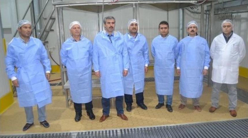 Gıda Tarım Ve Hayvancılık İl M&uuml;d&uuml;r&uuml; Kayacan Karpuzatan B&ouml;lgesinde Yenilenen Mezbahaneleri İnceledi