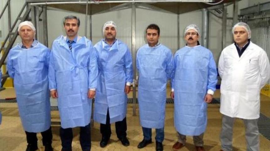 Et Kombinaları Sucuk-Pastırma &Uuml;retimevlerinde Revizyon Ve Denetim