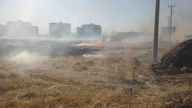 Nusaybin’de Anız Yangınına Toma İle Müdahale Edildi