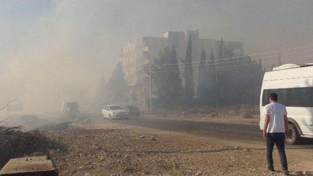 Nusaybin’de Anız Yangınına Toma İle Müdahale Edildi