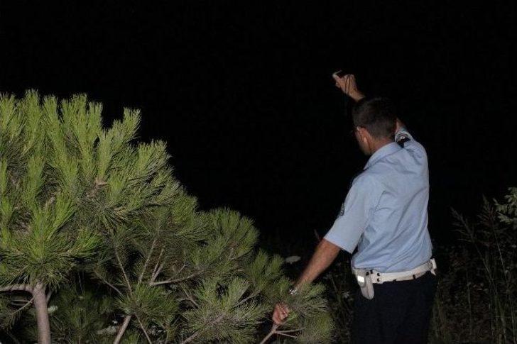 Okul Taşıtıyla Umuda Yolculuk G1