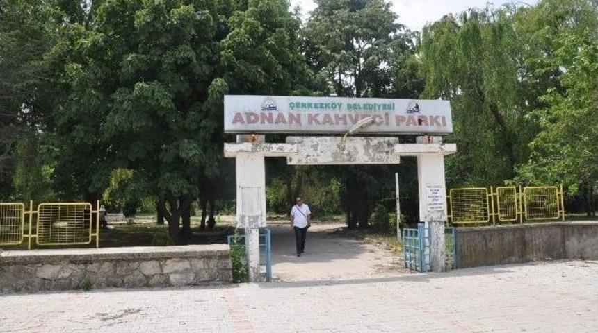 G&ouml;r&uuml;nt&uuml; İ&ccedil;ler Acısı