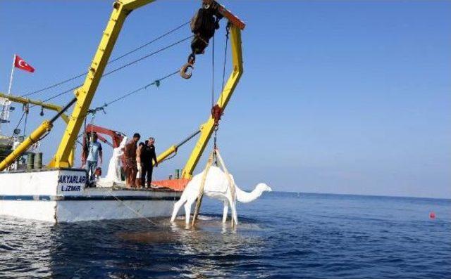 Dev Heykeller Denizle Buluştu 3