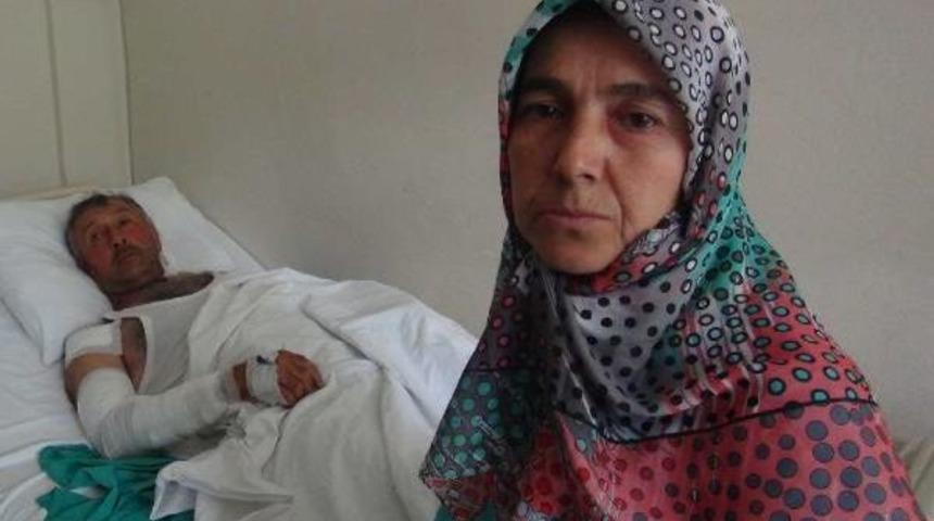 Ayının Saldırısında Yaralandı