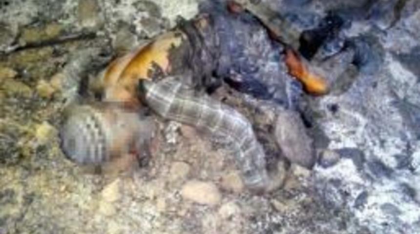 Yaşlı Adam Evinde &Ccedil;ıkan Yangında Yanarak &Ouml;ld&uuml;