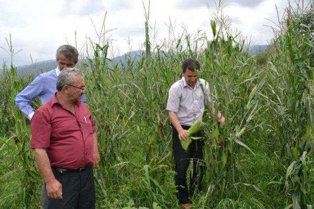 Heyelan, Andırın-Düziçi Bağlantı Yolunu Kapattı