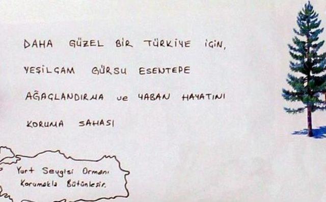 'çevre' Afişi Astı, Hakimi Taşlamaktan Mahkum Oldu