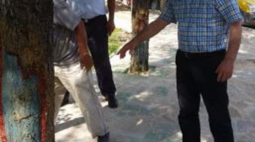 Yığılca Yeni Bir Vizyon Kazanıyor