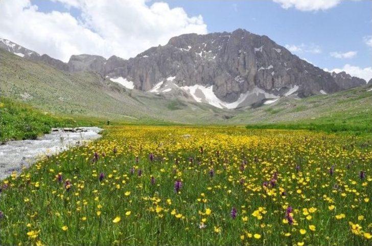 Munzur’un Eteklerinde Saklı Cennet G2